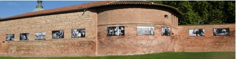 Yves Jeanmougin, exposition Désordre au jardin Raymon VI à Toulouse.