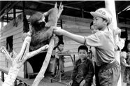 yj_p.038_1978_guyane.jpg