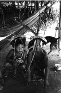 yj_p.039_1978_guyane_1164.8A.jpg