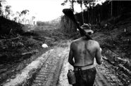 yj_p.041_1978_guyane_1175.5A.jpg