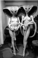 yj_p.068_1980_pigalle_1694.16A.jpg