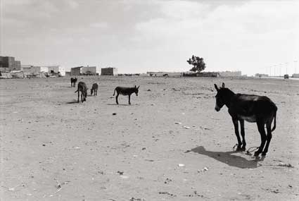 Yves Jeanmougin, Aïn Bordja, Casablanca