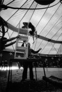 yj_cirque_11_1973.jpg