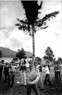 yj_sicile_10_1978_1203.35.jpg