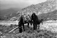 yj_sicile_11_1980_1772.3.jpg